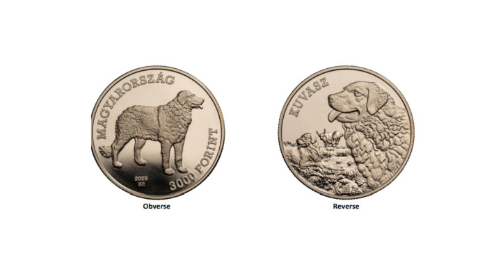 Kutyákat rajzol új 3000 forintosaira a jegybank