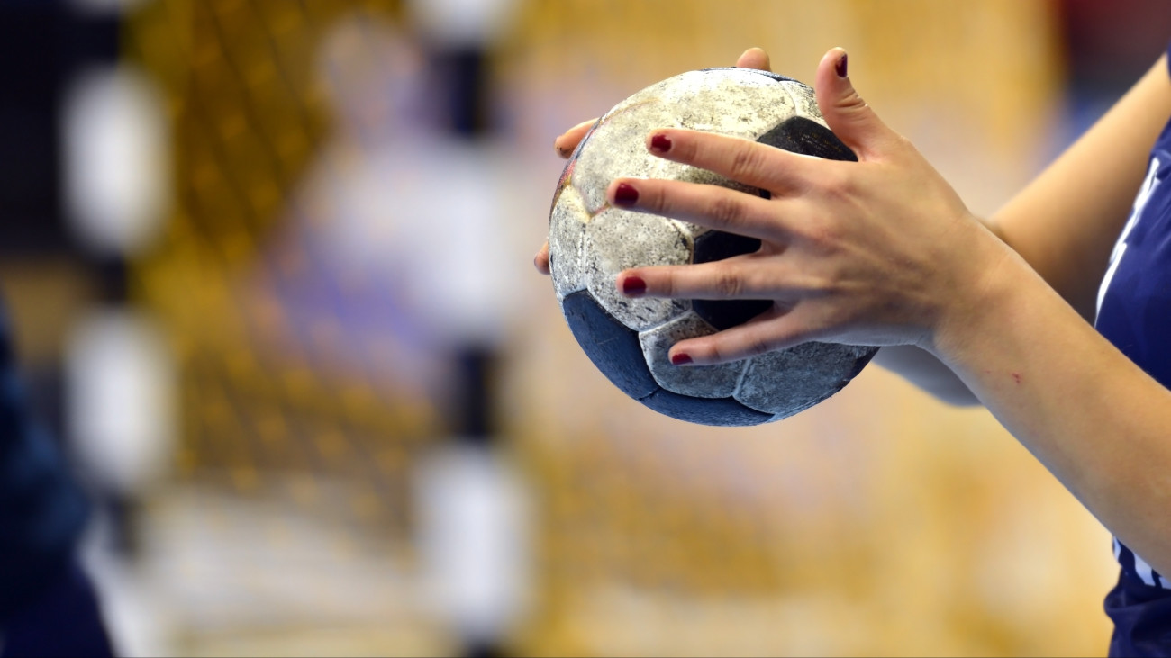Handball Player about to shoot a handball into the goal.