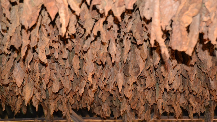 Egy komplett illegális gyárat találtak Nyíregyházán