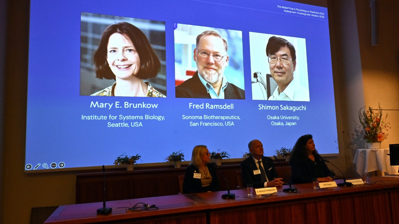 Mary E. Brunkow és Fred Ramsdell amerikai, valamint Szakagucsi Simon japán tudós (b-j) portréi az orvosi és élettani Nobel-díj nyerteseit bejelentõ sajtótájékoztatón a stockholmi Karolinska Intézetben 2025. október 6-án. A három kutató a perifériás immuntoleranciával kapcsolatos felfedezéseikért kapta az idei orvosi-élettani Nobel-díjat.