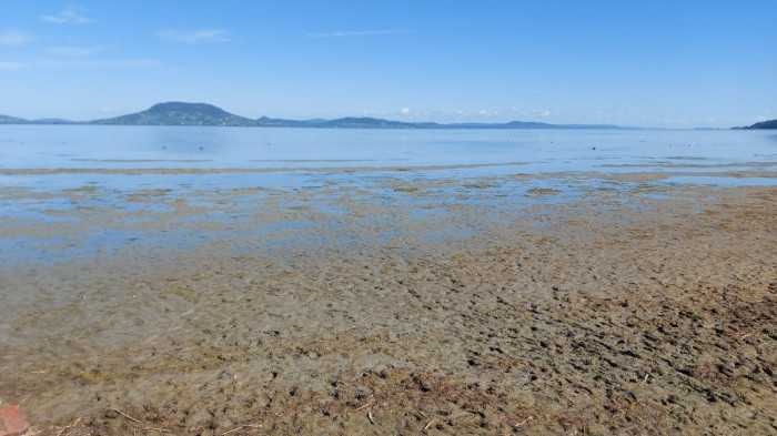 „Nincs baj, de nem vagyok esőisten” – mondta a Balaton alacsony vízszintjéről Navracsics Tibor