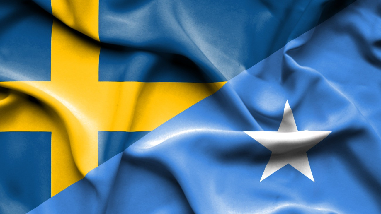 Waving flag of Somalia and