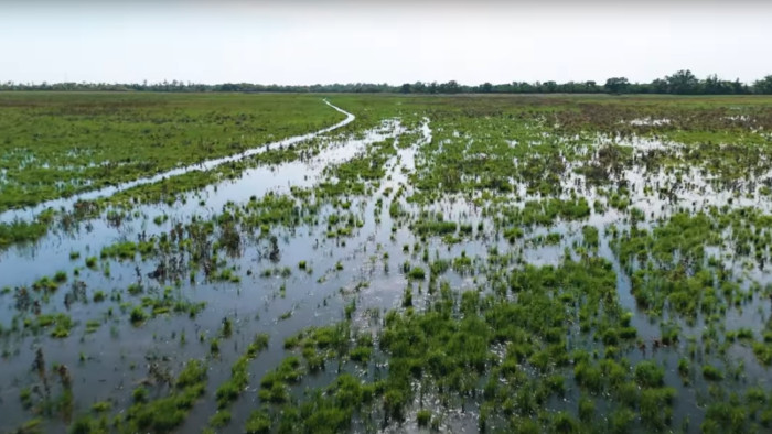 Édenkert a sivatagosodó Alföldön: hatékony fegyvert találtak a klímaváltozás ellen
