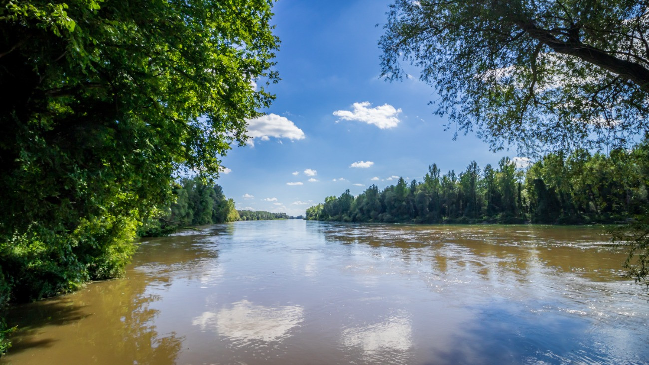 A Dráva folyó a Duna-Dráva Nemzeti Parkban.Forrás: Getty Images/GaborBalla