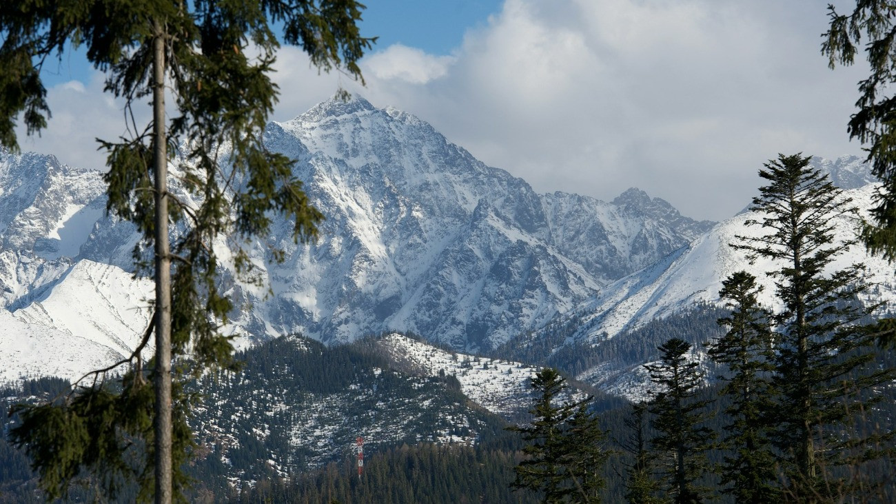 A havas Tátra-hegység fenyőerdővel.