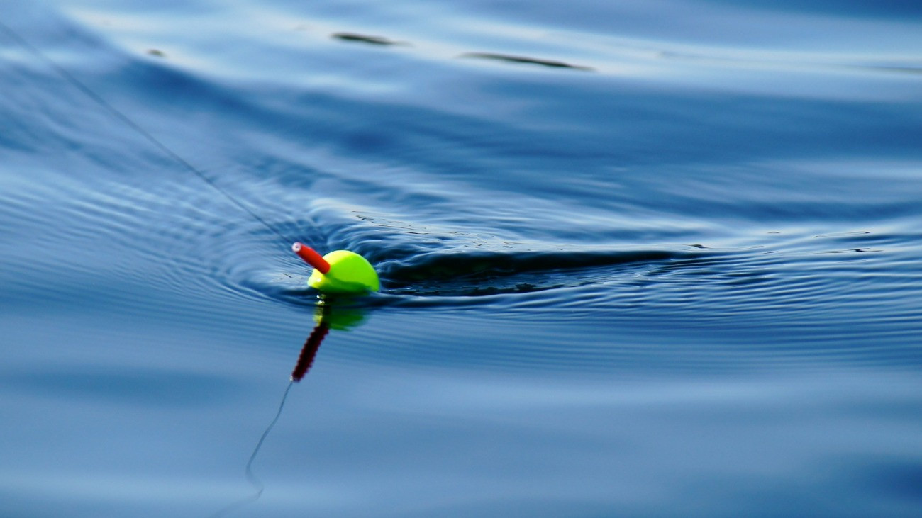 Egy horgászúszó a víz felszínén.