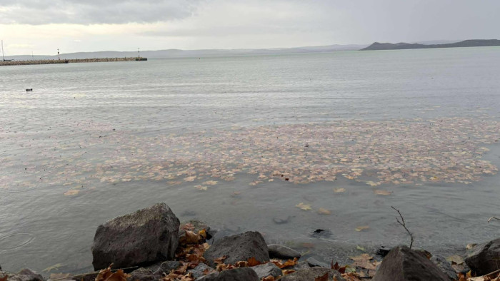 2 centis csoda történt a Balatonnál az éjjel