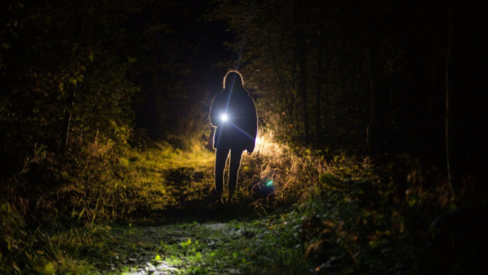 Rejtélyes kiabálás miatt mentek ki csapatostul az erdőbe a hatóságok