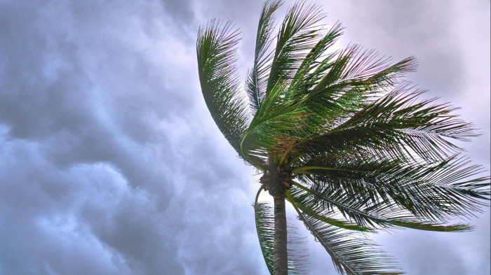 Claudia öldököl Portugáliában – videó