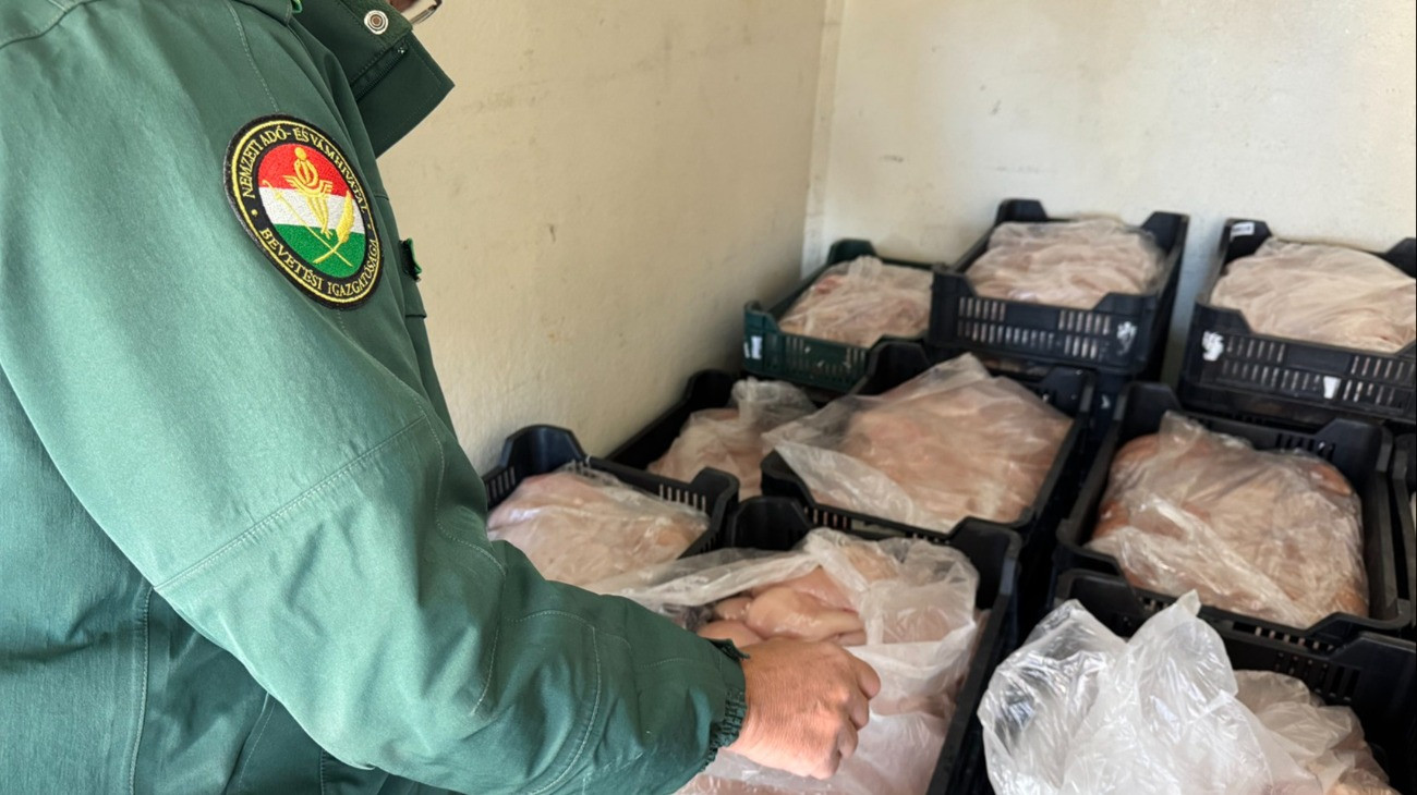 Zöldséges ládákba pakolva több mint 800 kilogramm romlott csirkehúst szállított egy szlovák kisteherautó, amelyet Komárom-Esztergom vármegyében a Monostori hídon ellenőriztek a pénzügyőrök.