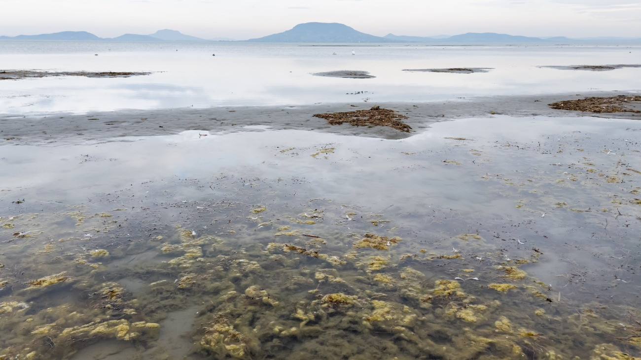 A drónnal készült felvételen kilátszik a Balaton medre Balatonfenyvesen az alacsony vízállás miatt 2025. október 21-én.