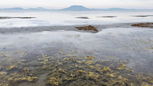 Lefotózták az űrből, hogy hol zavaros a Balaton