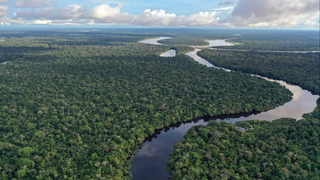 The Amazon river is the worlds biggest river.