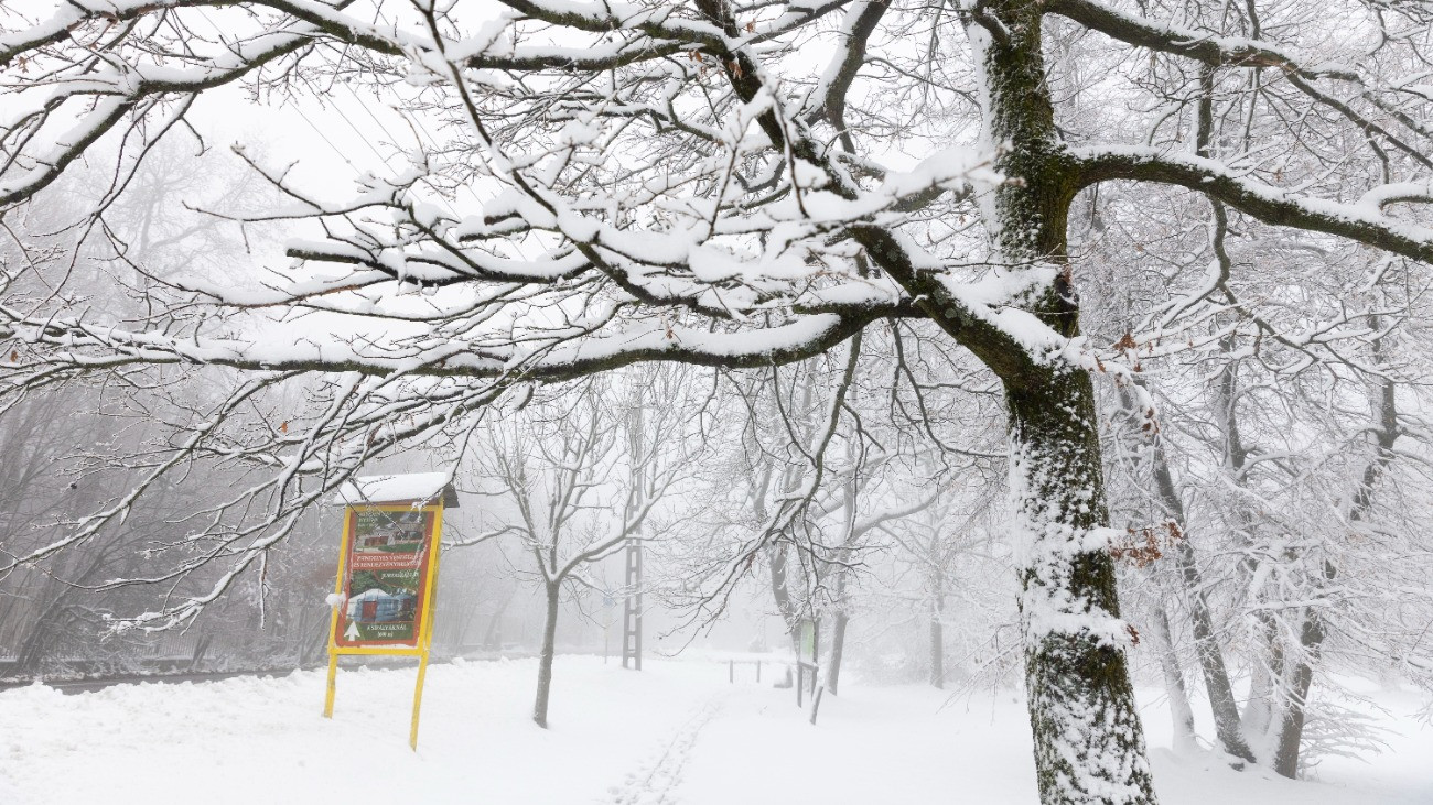 Havas táj Dobogókõn 2025. november 21-én. Borult, csapadékos idõ várható a hétvégén, többfelé havazhat is.