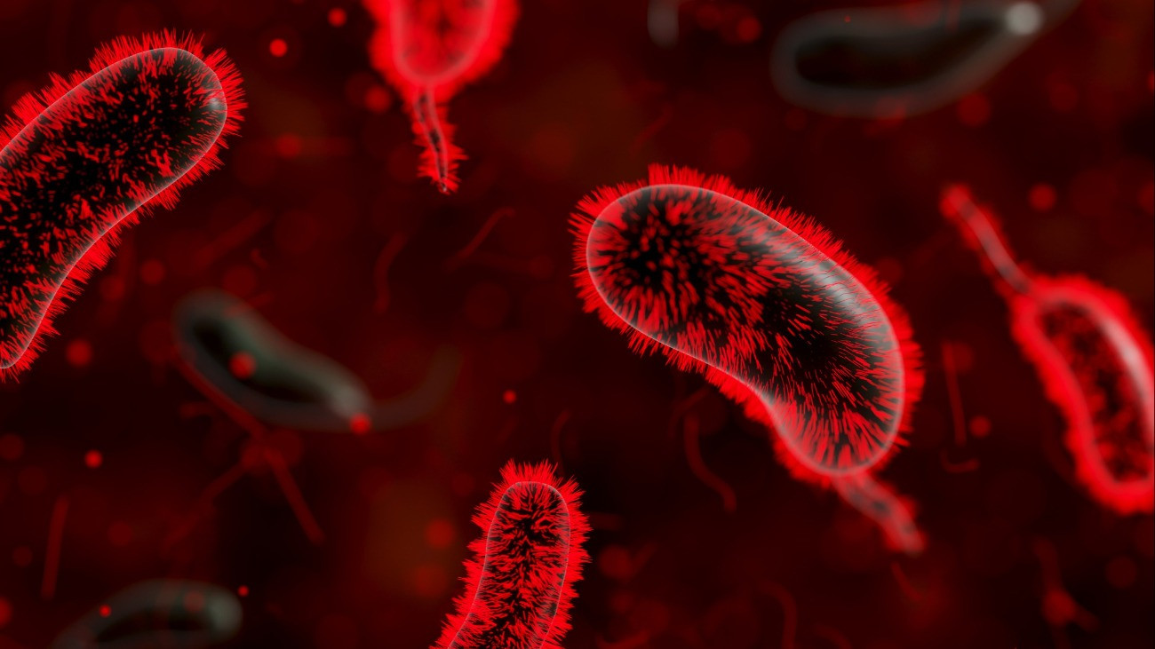 Red blood cells, cancer cells on black background. Poisoning, infection concept. Medicine and healthcare. 3D.