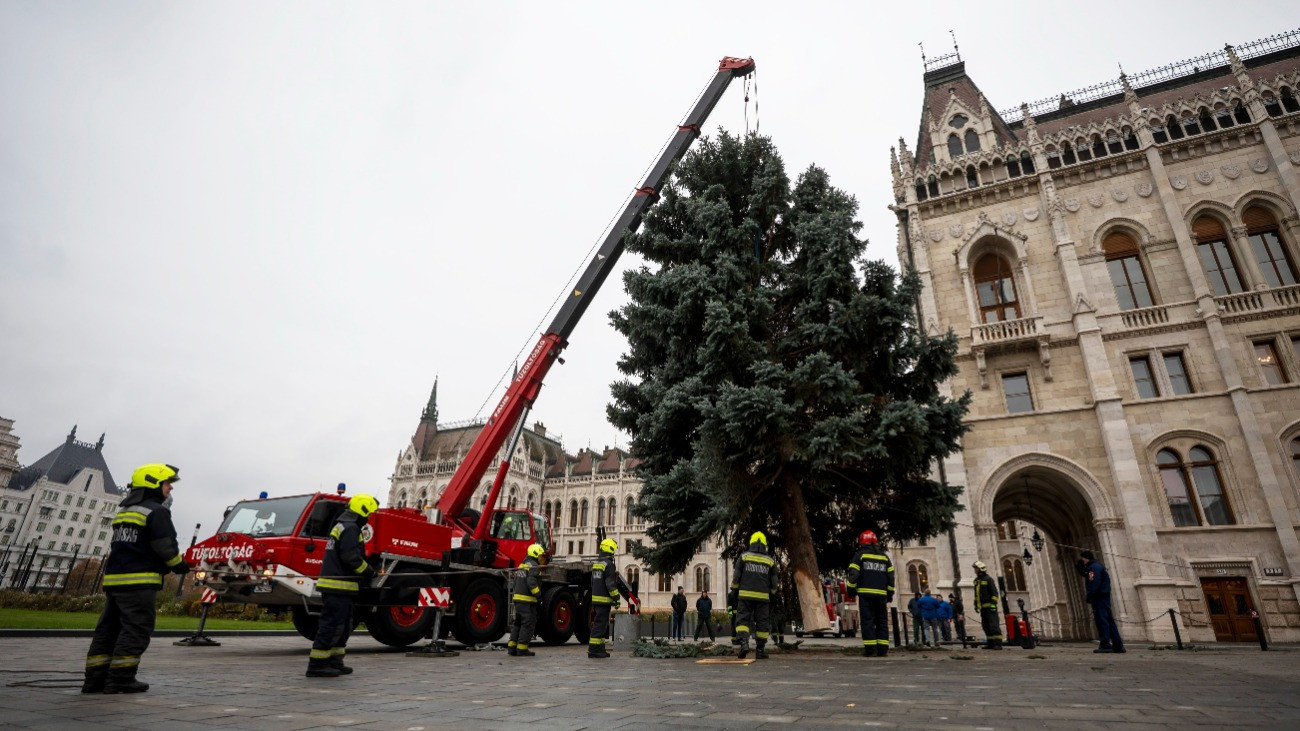 Budapest, 2025. november 24.Az ország karácsonyfáját állítják fel daruval a tűzoltók az Országház előtti Kossuth téren 2025. november 24-én. A 31 felajánlás közül az Országgyűlés Hivatala az ibrányi, hozzávetőleg 23 méter magas 40 esztendős ezüstfenyőt talált a legszebbnek.