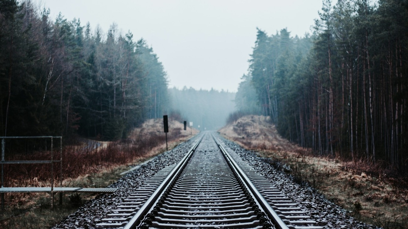 Egy vasúti sínpár, ami keresztülvezet egy fenyőerdőn.