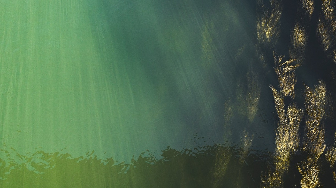 Folyóvíz fotója felülről.