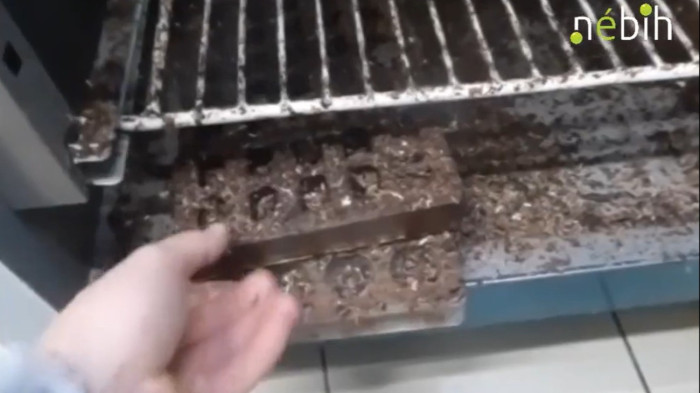 Bezárattak egy édességgyártót, olyan borzalmas körülmények voltak – itt vannak a részletek