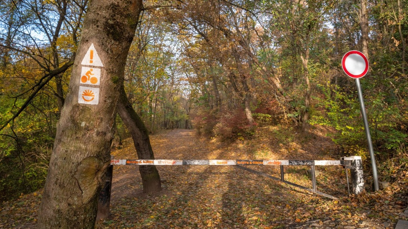 A Pilisi Parkerdő Zrt. Városierdő-fejlesztési Programja újabb budapesti helyszínhez érkezik.