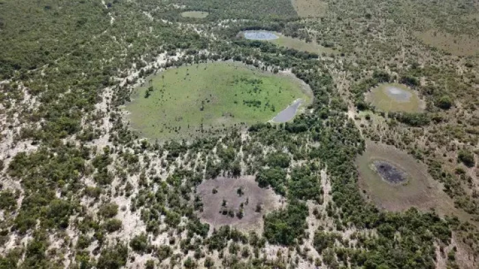 Különleges „tündérkörök” Magyarországon – erre jutottak a kutatók