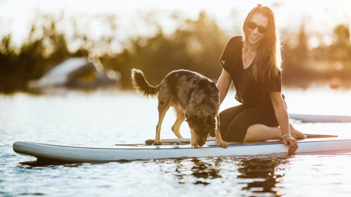 Továbbra sincs döntés a kutyás strand ügyében a népszerű balatoni üdülőhelyen