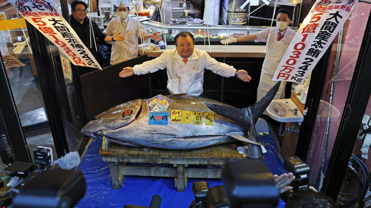 Egymilliárd forintnak megfelelő összegért kelt el egy 243 kilogrammos kékúszójú tonhal egy tokiói árverésen.