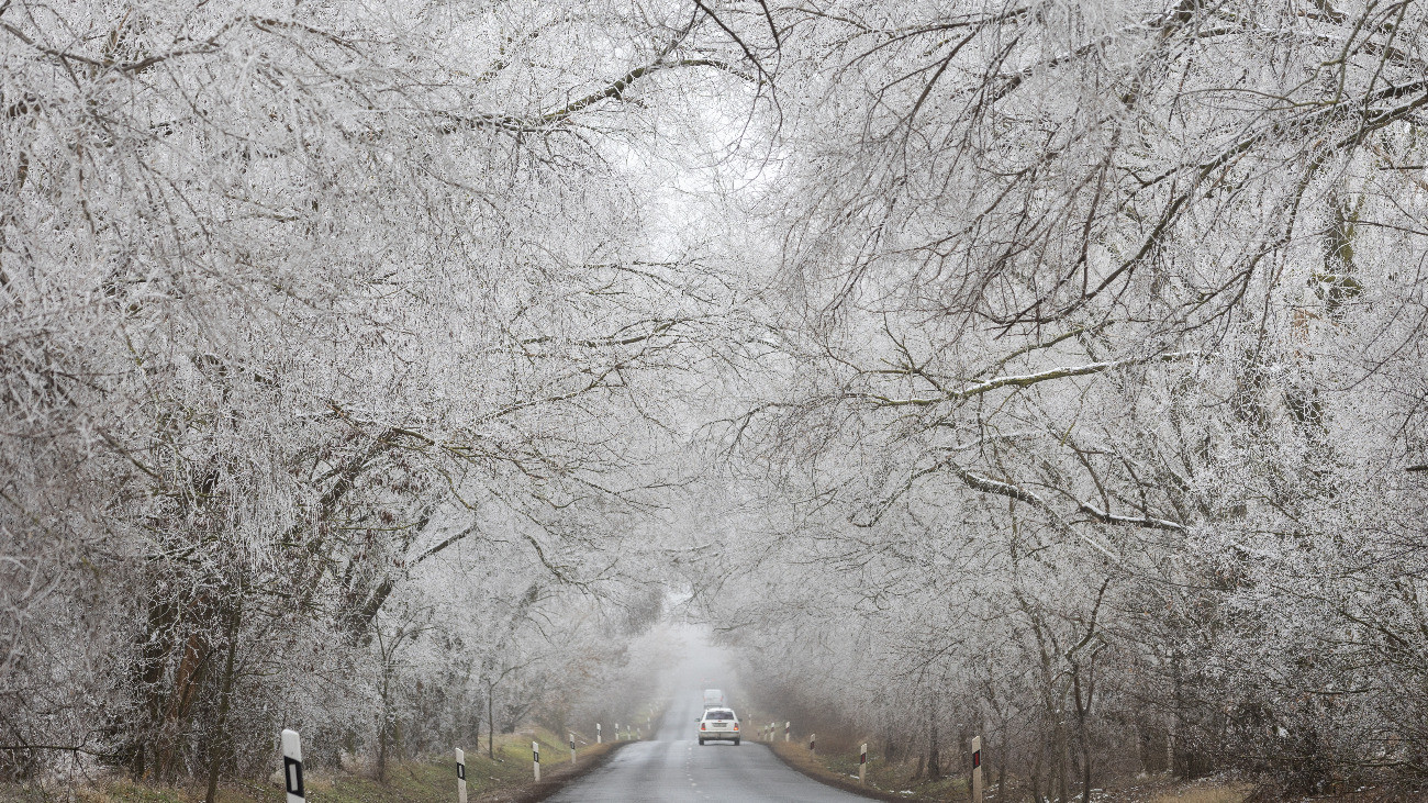 Zúzmarával borított fák a 1102-es mellékút Páty-Zsámbék közötti útszakaszán 2025. január 21-én. A Magyar Közút közleménye szerint a meteorológiai elõrejelzések alapján egyre többfelé kell számítani ónos esõre.