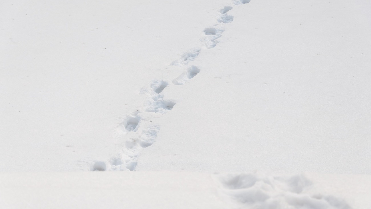 Ezek az emberek az életükkel játszanak – friss figyelmeztetések az időjárás miatt