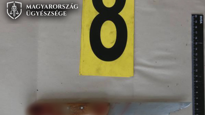 Jóban volt az apjával, mégis halálra késelte a buli után