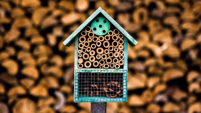 Apró lyukak, nagy jelentőséggel – itt az idő segíteni