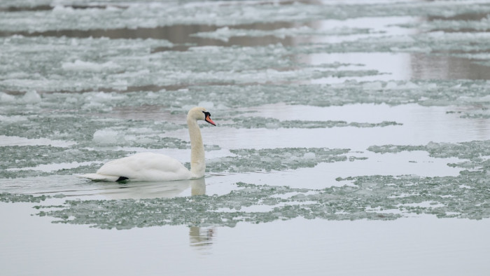 Különös arcát mutatja a Balaton