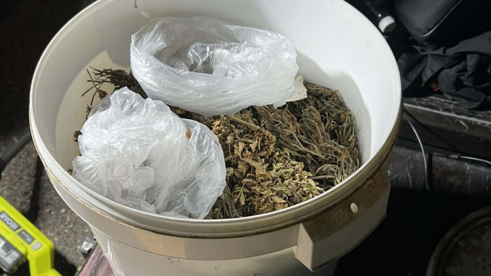 Talán ha nem kezd menekülni, meg is úszta volna – videó