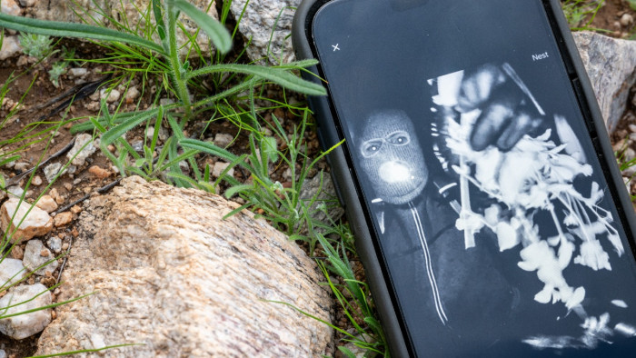 Fordulat az NBC műsorvezetője édesanyjának elrablása ügyében