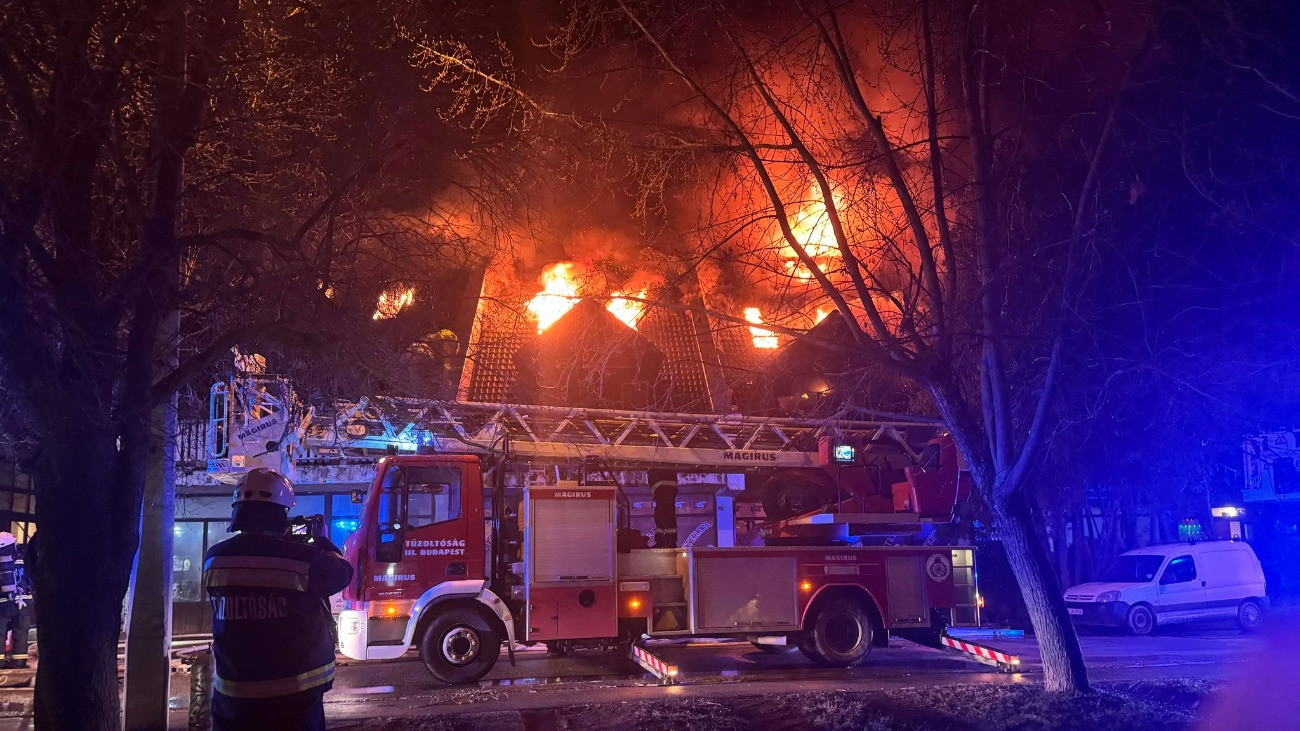 Tömegszerencsétlenség Budakeszin – fotók
