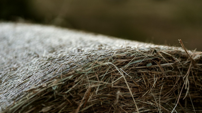 Lefoglalta és leplombálta a rendőrség a lómenhely szénabáláit
