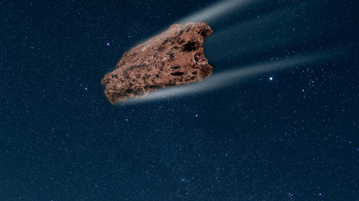 Egy baktérium lehet a nagy titok tudója