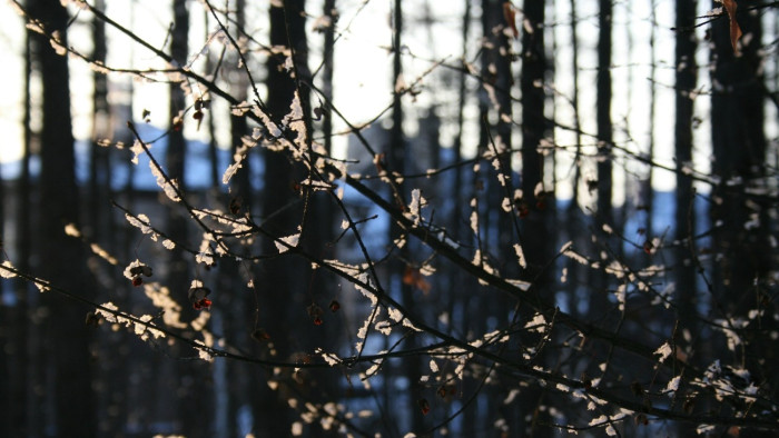 Szokatlanul melegnek bizonyult a február