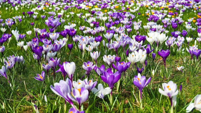 Szerdán 20 Celsius-fok fölé emelkedett a hőmérséklet