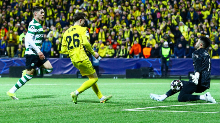 A Sárga úthenger esete a szárított tőkehallal