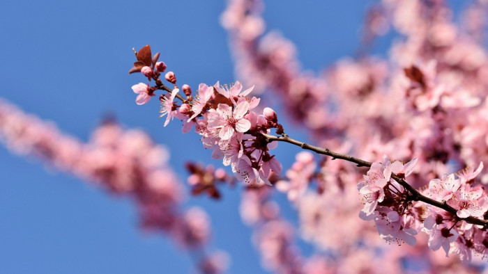 Örvénybe kerülünk, változások jönnek – mutatjuk az időjárást