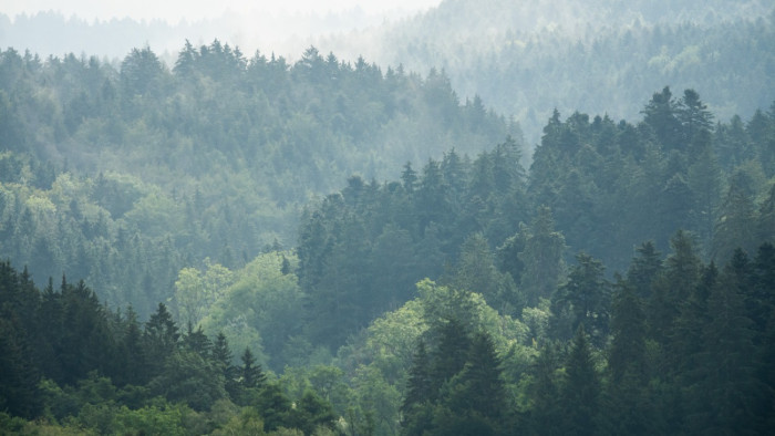 Egy eltűnt földrész titkaira bukkantak az Északi‑tenger mélyén