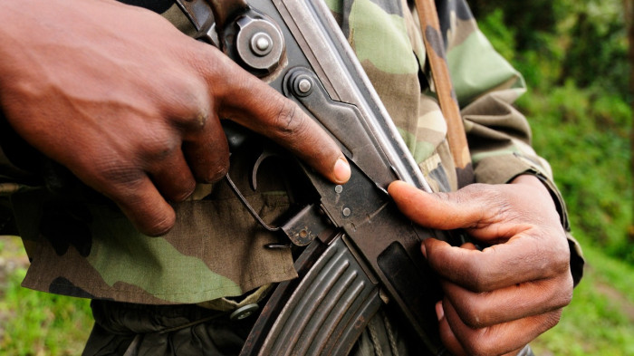 Fegyveresek támadtak rá a nemzeti parkra, véres tűzharc alakult ki Kongóban