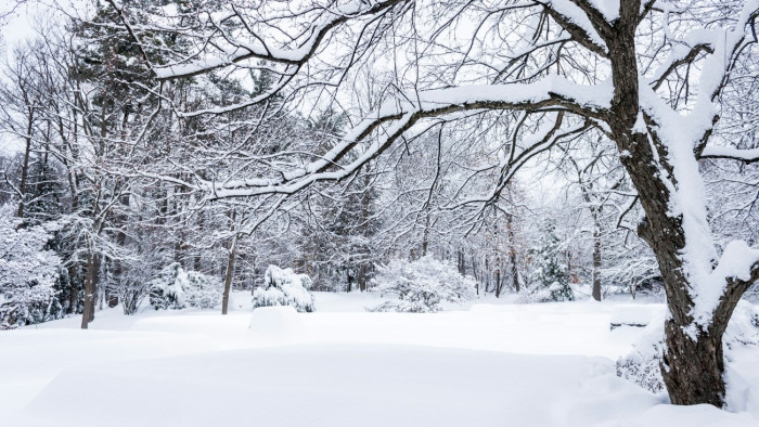 Több magyar hegycsúcsot is közel húszcentis hótakaró fedett be péntekre – videó