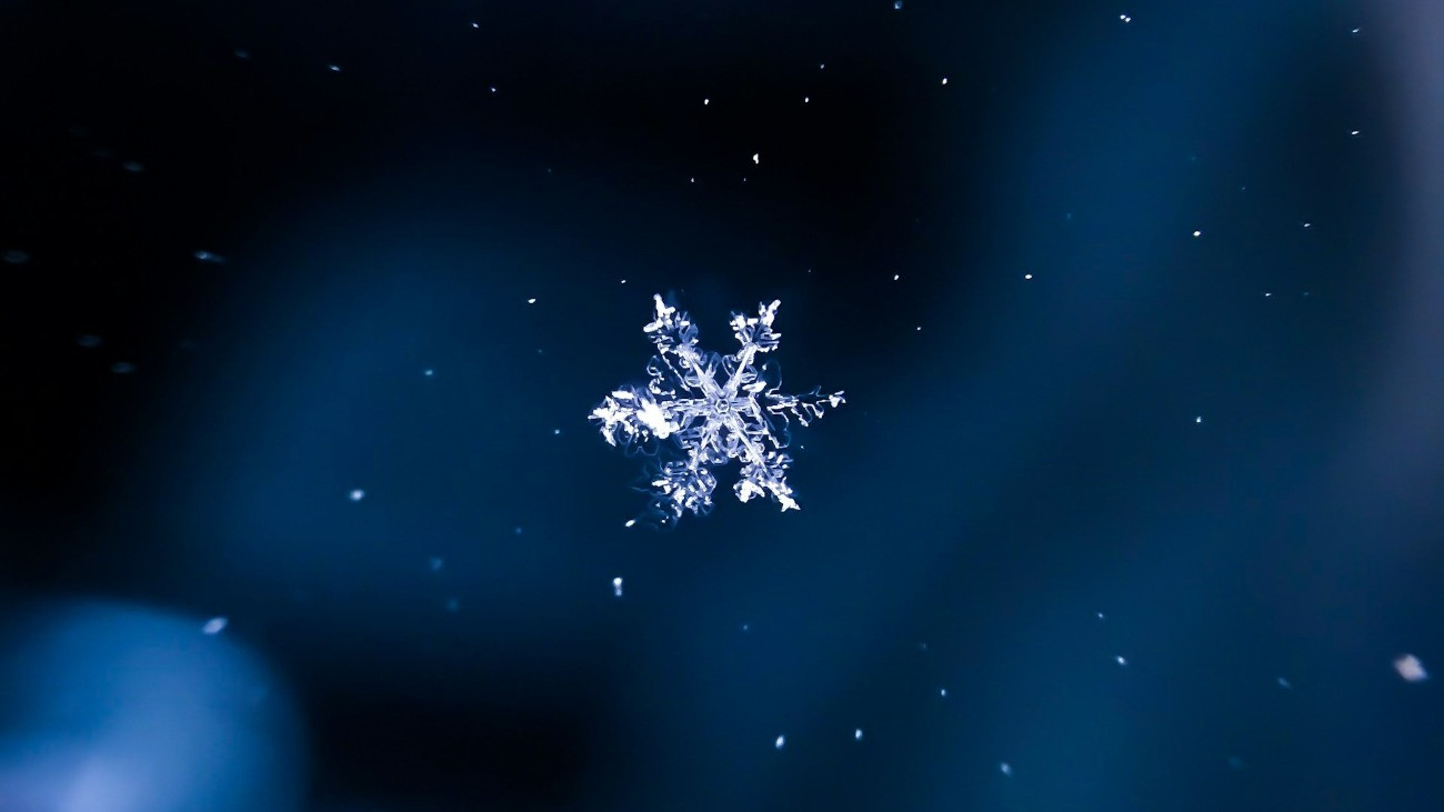 Egy magányos hópihe a havazásban.