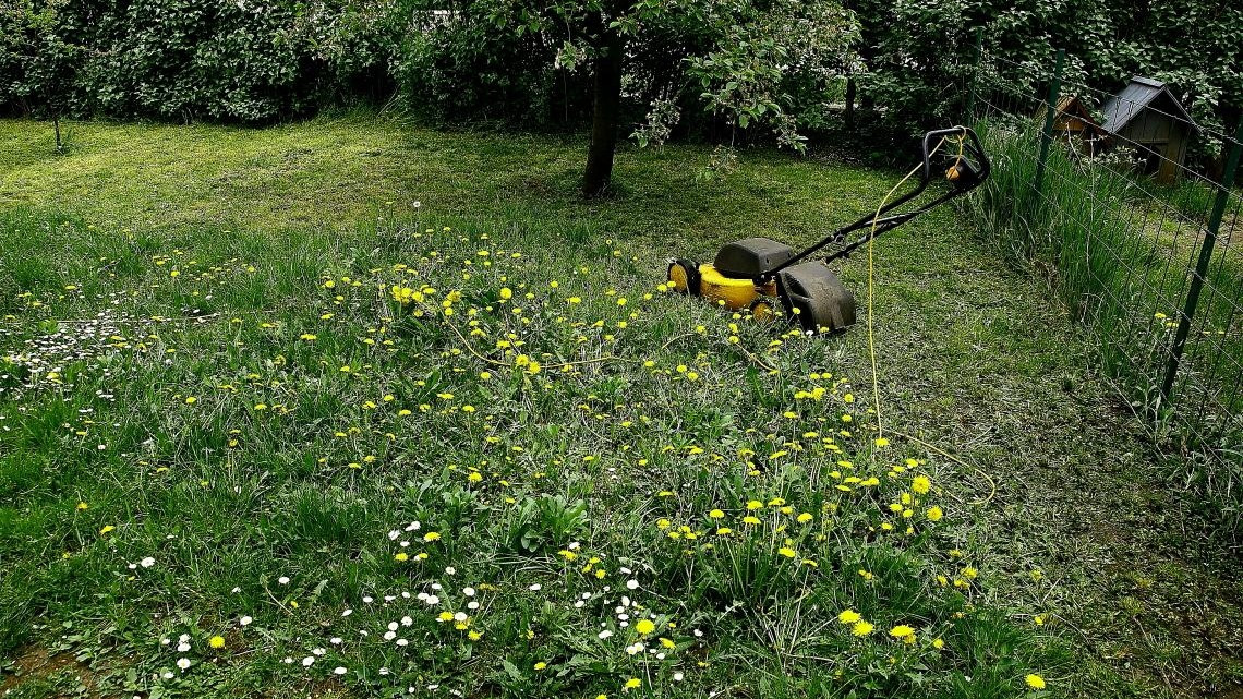 A Magyar Madártani és Természetvédelmi Egyesület (MME) felhívással fordul ‒ a lakosság mellett ‒ kiemelten az önkormányzatok felé a települési parkok és gyepek fenntartható kezelése, kaszálatlan foltokat meghagyó nyírása érdekében. Már csak azért is, mert sajnos még általánosnak tekinthető, hogy a munkások a „por vágására” is kivonulnak az aszályban kiégett nyárközépi gyepekre – olvasható az MME közleményében.