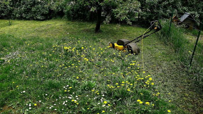 Teljesen máshogy kaszáljunk, mint eddig!