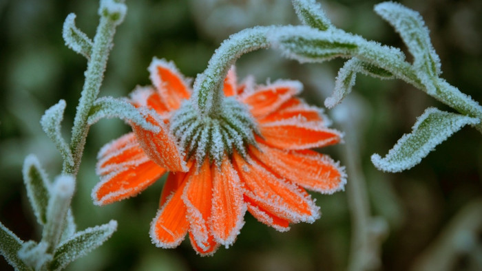 Itt van az ősz, itt van újra