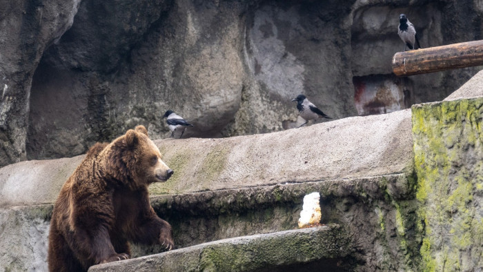 Megszólalt a nyírfa, panaszkodott a folyó – tanácskozás Norvégiában