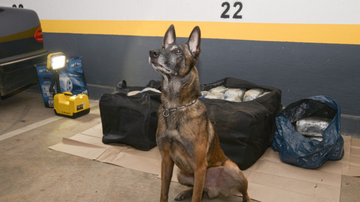 Óriási csonttal vonul nyugalomba Tico